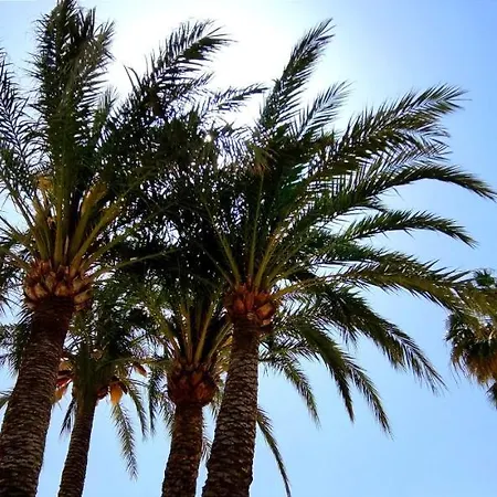 By Costa Lejlighed Dénia