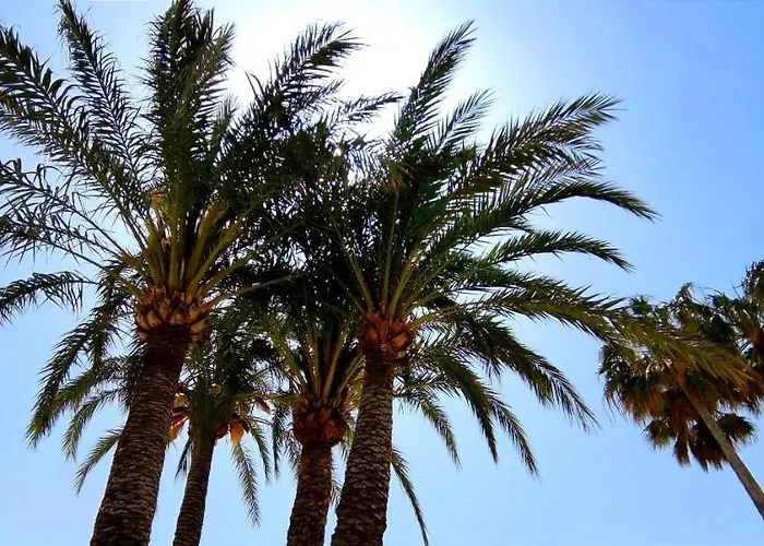 By Costa Apartamento Dénia